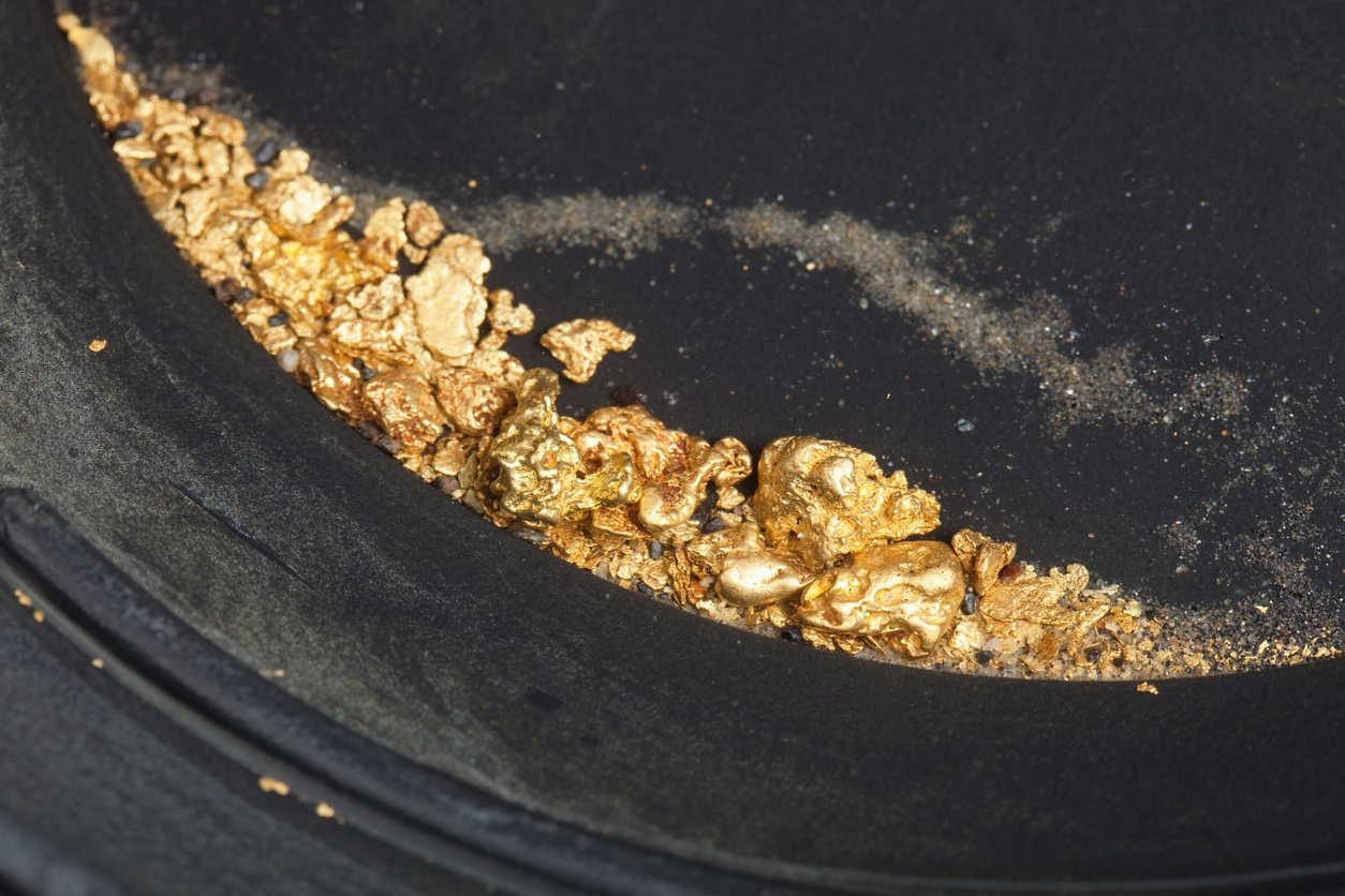 La bacteria Cupriavidus metallidurans demostró capacidad de transformar metales pesados en oro.