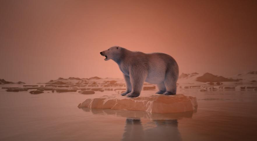 Un oso polar en medio del deshielo.