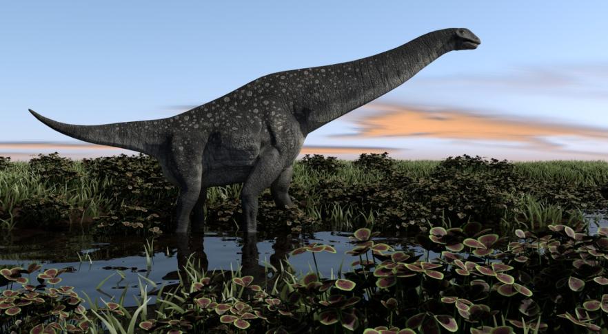 Descubren un nuevo titanosaurio en Argentina