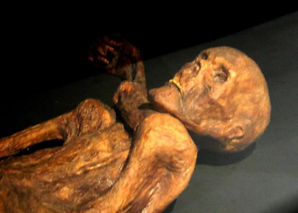 Descubren ADN no humano en una momia con más de 5 mil años de antigüedad-0